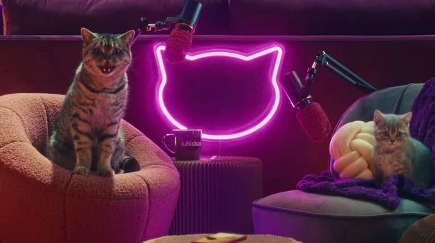 Whiskas har lansert Purrcast-podcasten: katter snakker ...