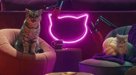 Whiskas har lansert Purrcast-podcasten: katter snakker (video)