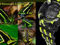 post_big/csm_Casio-Poison-Dart-Frogman-leaked-render_dcb02adc52.jpg