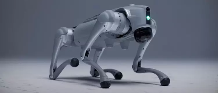 Den svenske robot "hunden" Luna har ...