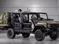 post_big/Caracal.jpg
