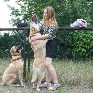 Belka_love