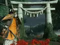 post_big/wda.jpg