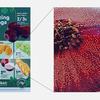 Schematiske av fargeimaging-algoritmen