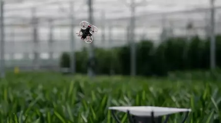 Nederlandske ingeniører vil utrydde insekter i drivhus ved hjelp av droner, IR-kameraer og kunstig intelligens.