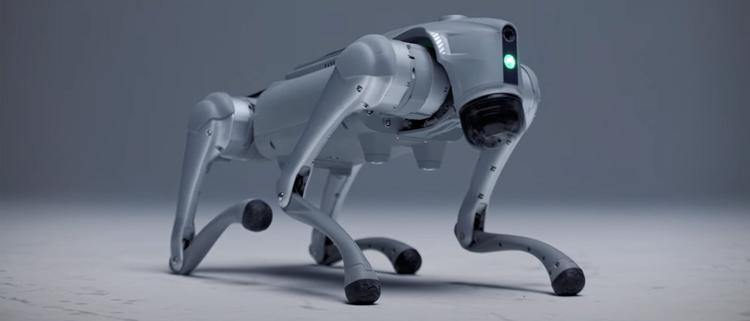 Den svenske robot "hunden" Luna har ...