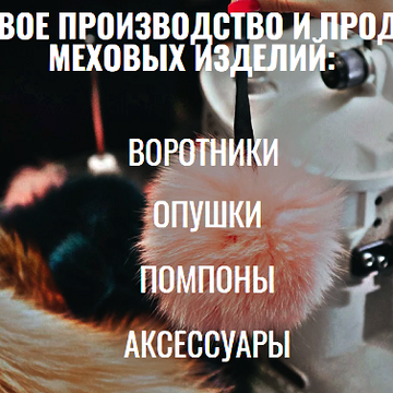 aaxegnnpc
