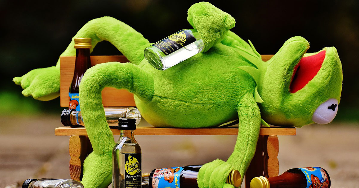 Kermits bevisstløse gjenoppretting: hva var årsaken til hans nattlige eventyr? Kermit på benken: Hvordan en frosk kommer seg etter en stormfull natt ute