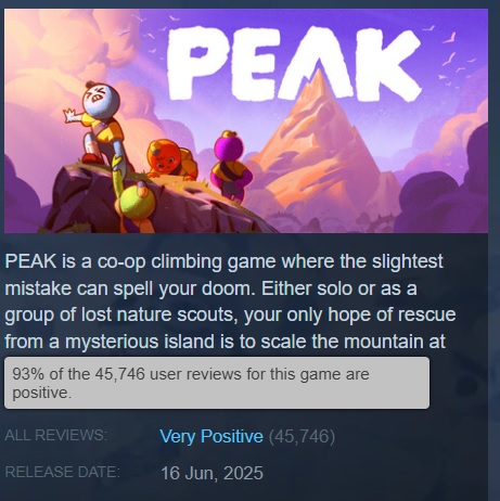 PEAK Arcade climbing simulator PEAK Arcade climbing simulator